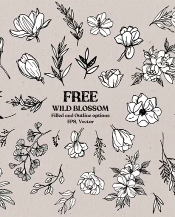 Wild Blossom – Hand sketched Floral & Botanical elements